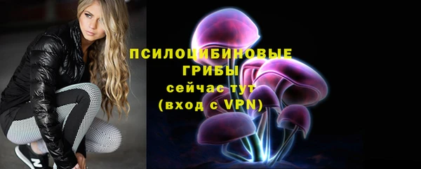 ешки Куйбышев