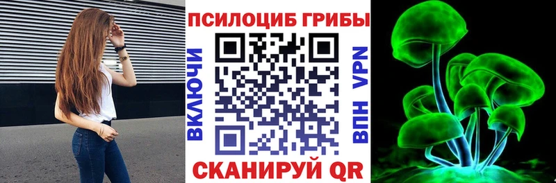 где купить наркоту  Шимановск  Псилоцибиновые грибы Magic Shrooms 